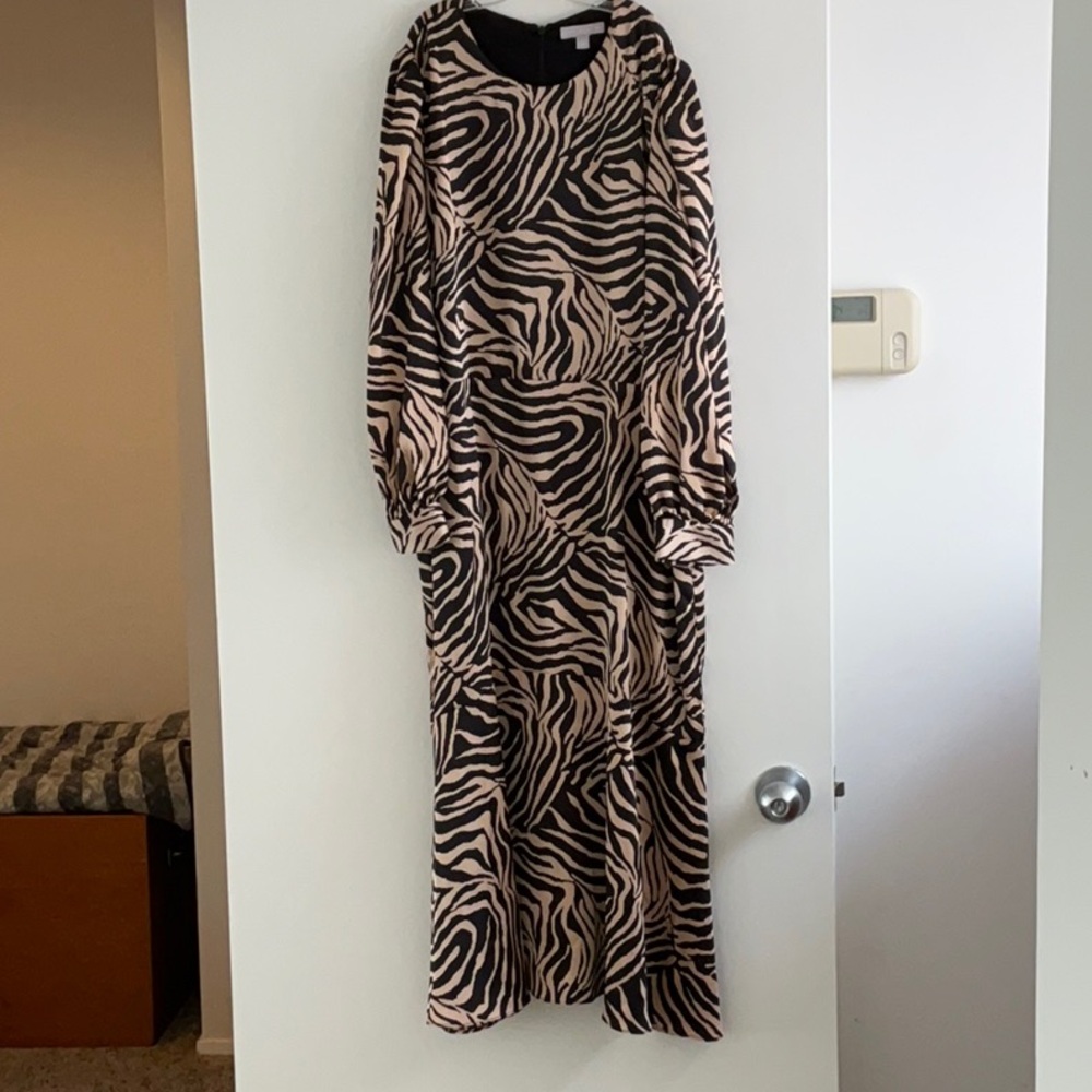 Zebra Print Long-Sleeve Dress